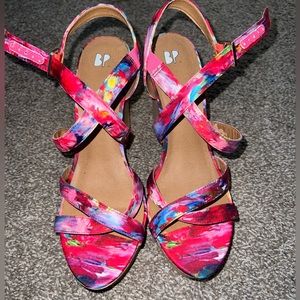 Colorful Wedges